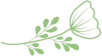 leaf icon